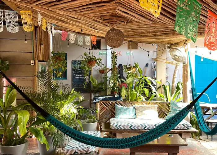 Barco Verde Hostel Isla Holbox